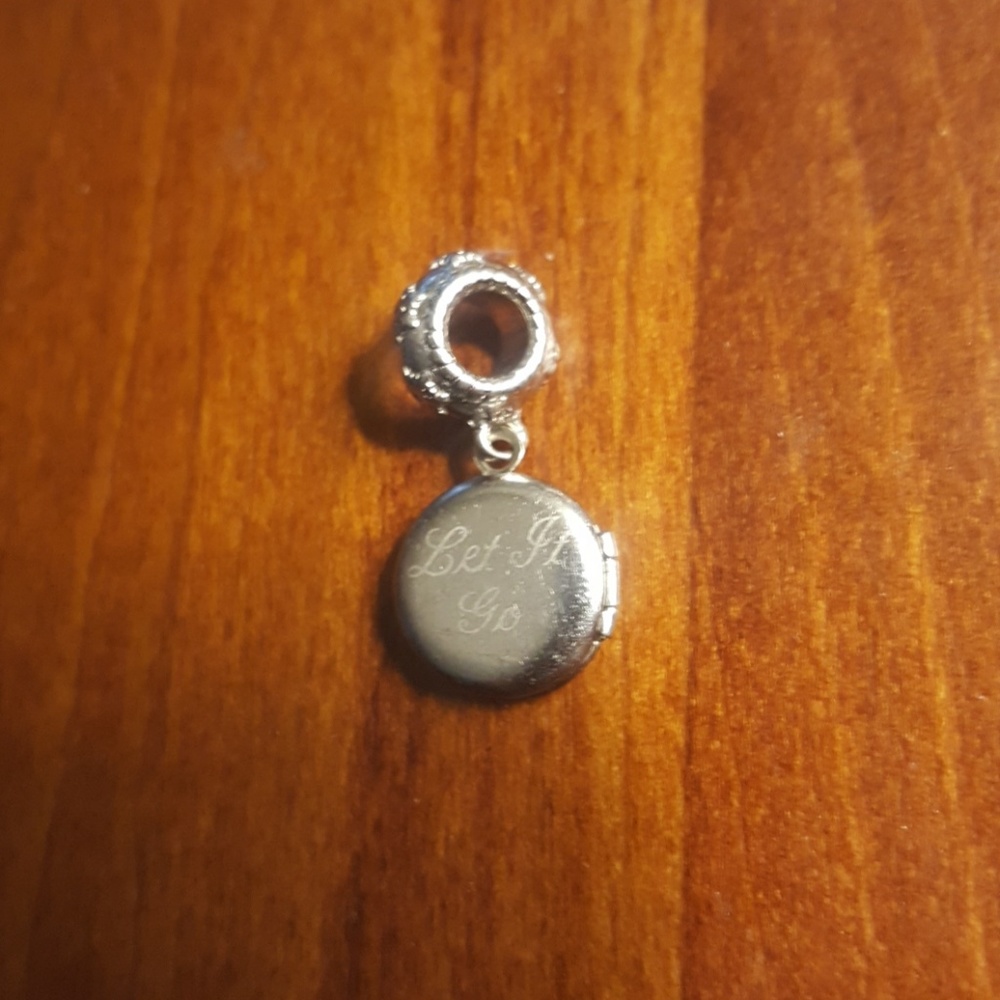 Frozen Charm - Picture 3 of 3